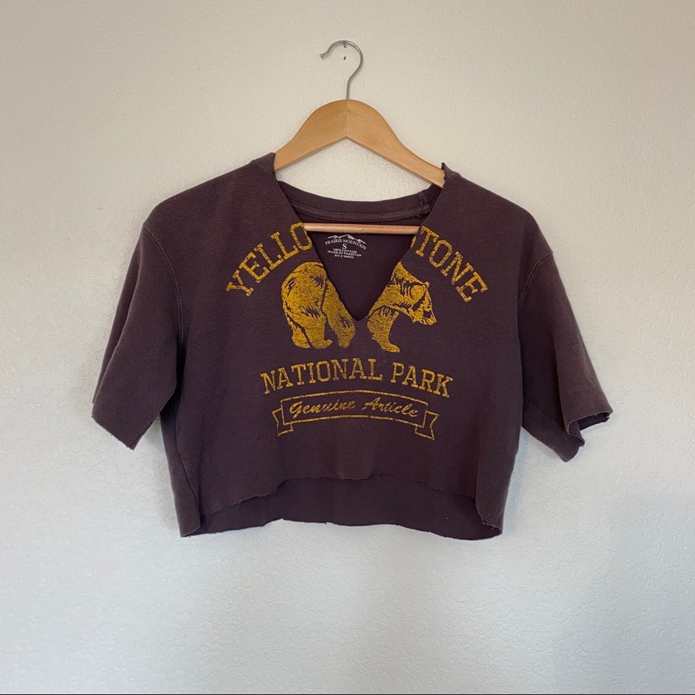 reworked yellow stone national park crop top